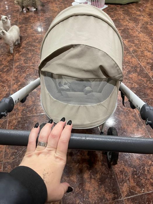 Коляска anex 2в 1