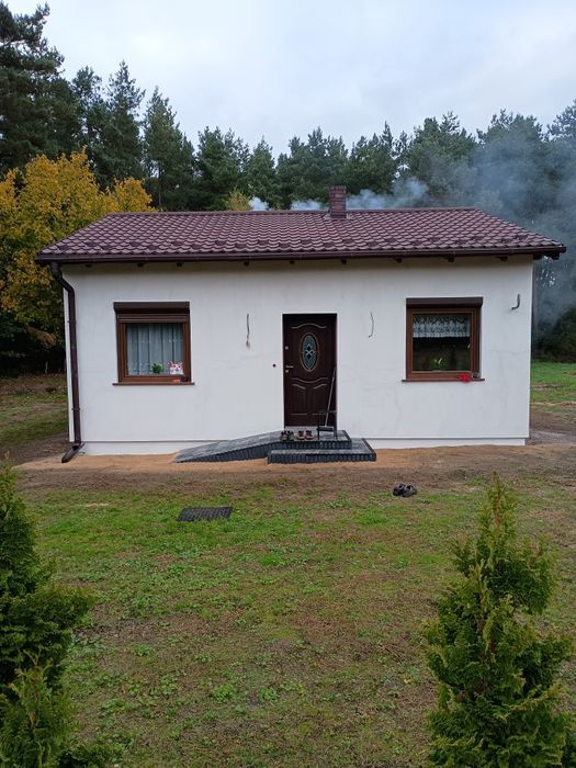 Do wynajęcia od zaraz Dom 60 m2