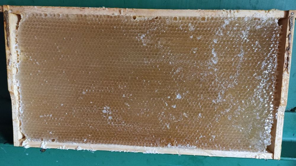 Мед 2025 року із своєї пасіки