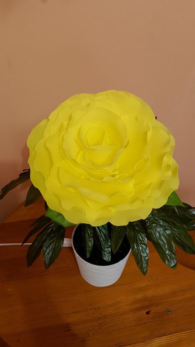 Нічник Півонія жовта