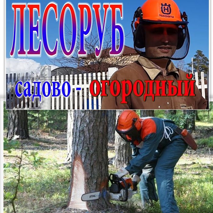 Обрізка спилДерев дробління Уборка участка|Рубка дров будівельніРоботи