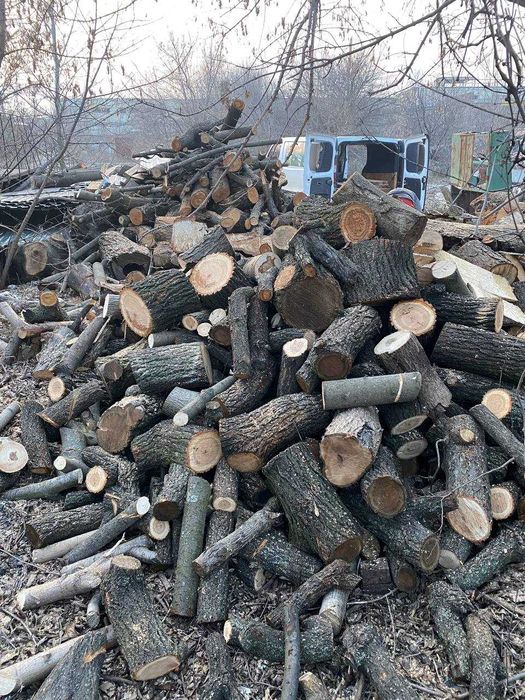 Дрова чурки попиляні 30-40 см,  дробленка, щепа брикети RUF