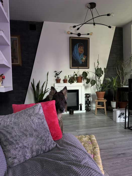 Mieszkanie na sprzedaż / zamiana / dom / domek / siedlisko /Łodź Górna