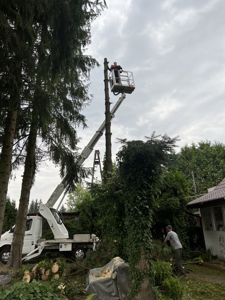 Wycinka drzew Najtaniej rębak zrębkowanie czyszczenie działek