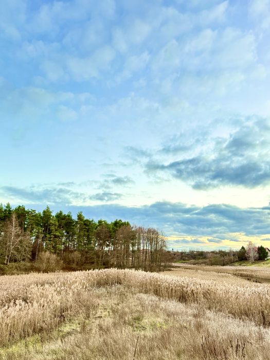 ‼️Дім, Якого Немає Аналогів. Ліс. Озеро. Ясногородка‼️