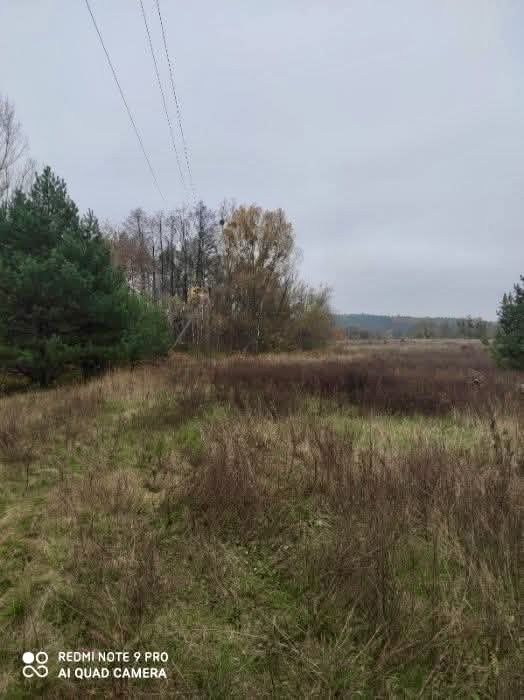 Продаж земельної ділянки біля лісу та річки 20км від міста