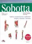 Tablice anatomiczne mięśni, stawów i nerwów. Angielskie mianownictwo
