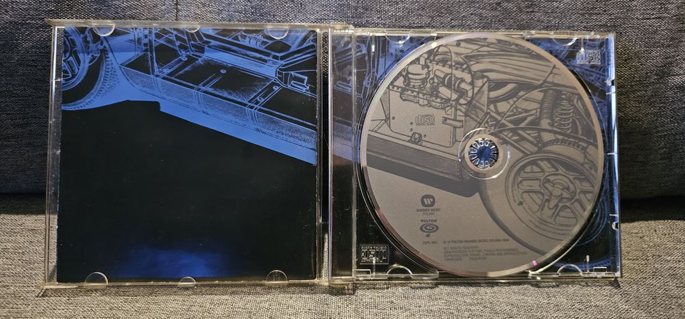 Roże Europy Bananowe Drzewa CD Polton