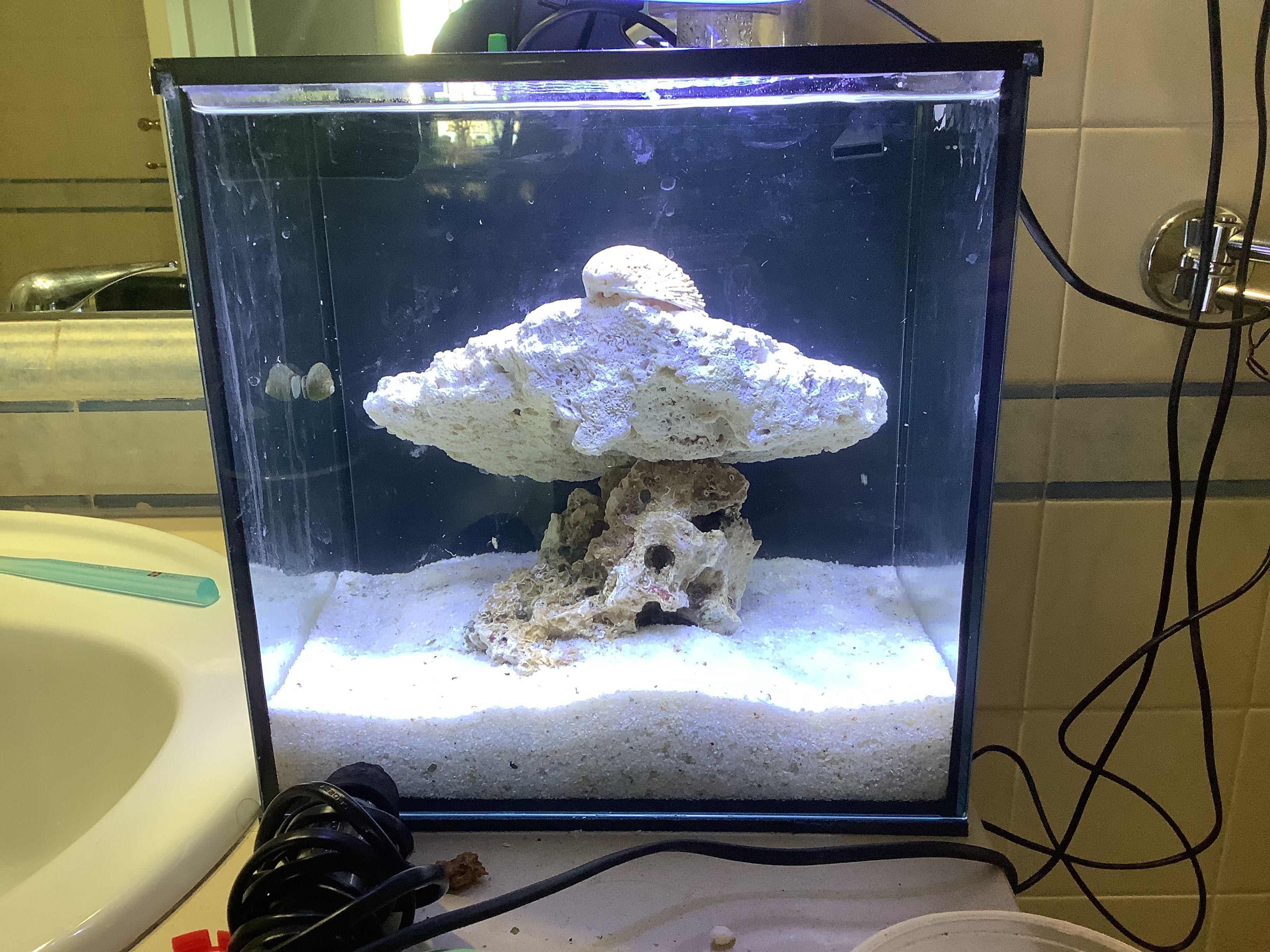 luz para um aquário de água salgada