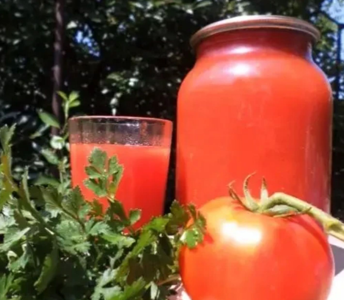 Продам домашний томатный сок