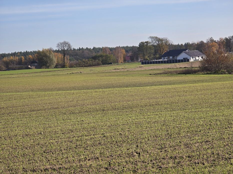 Działka - z warunkami zabudowy