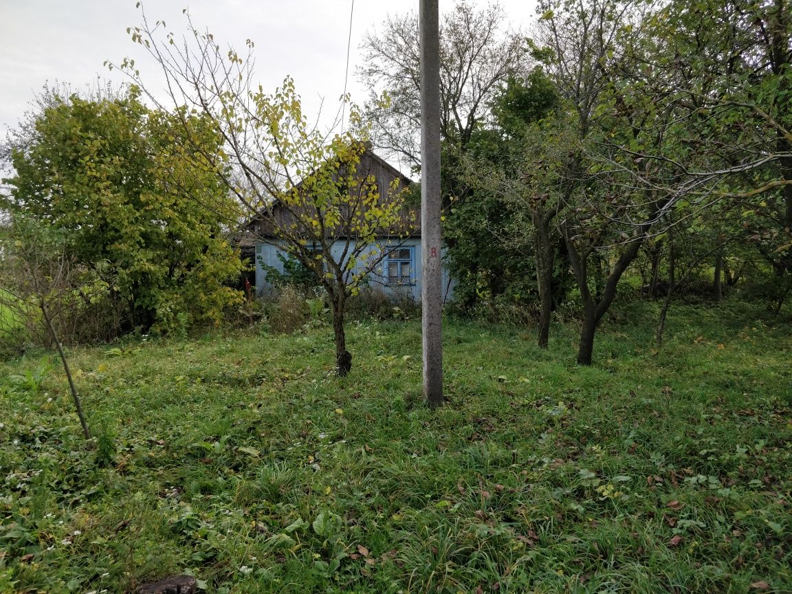 Земельна ділянка с. Нагірне (Ульбарів)