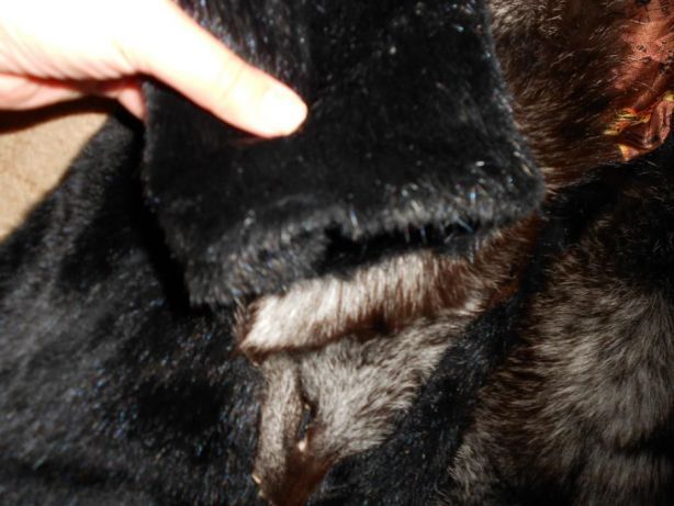 шуба сурок (полевая норка ) с чернобуркой 46-48 размер