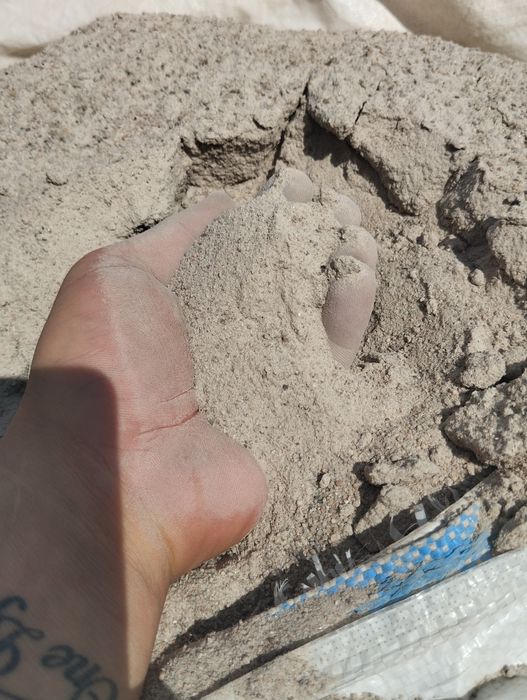 Oddam piasek za darmo