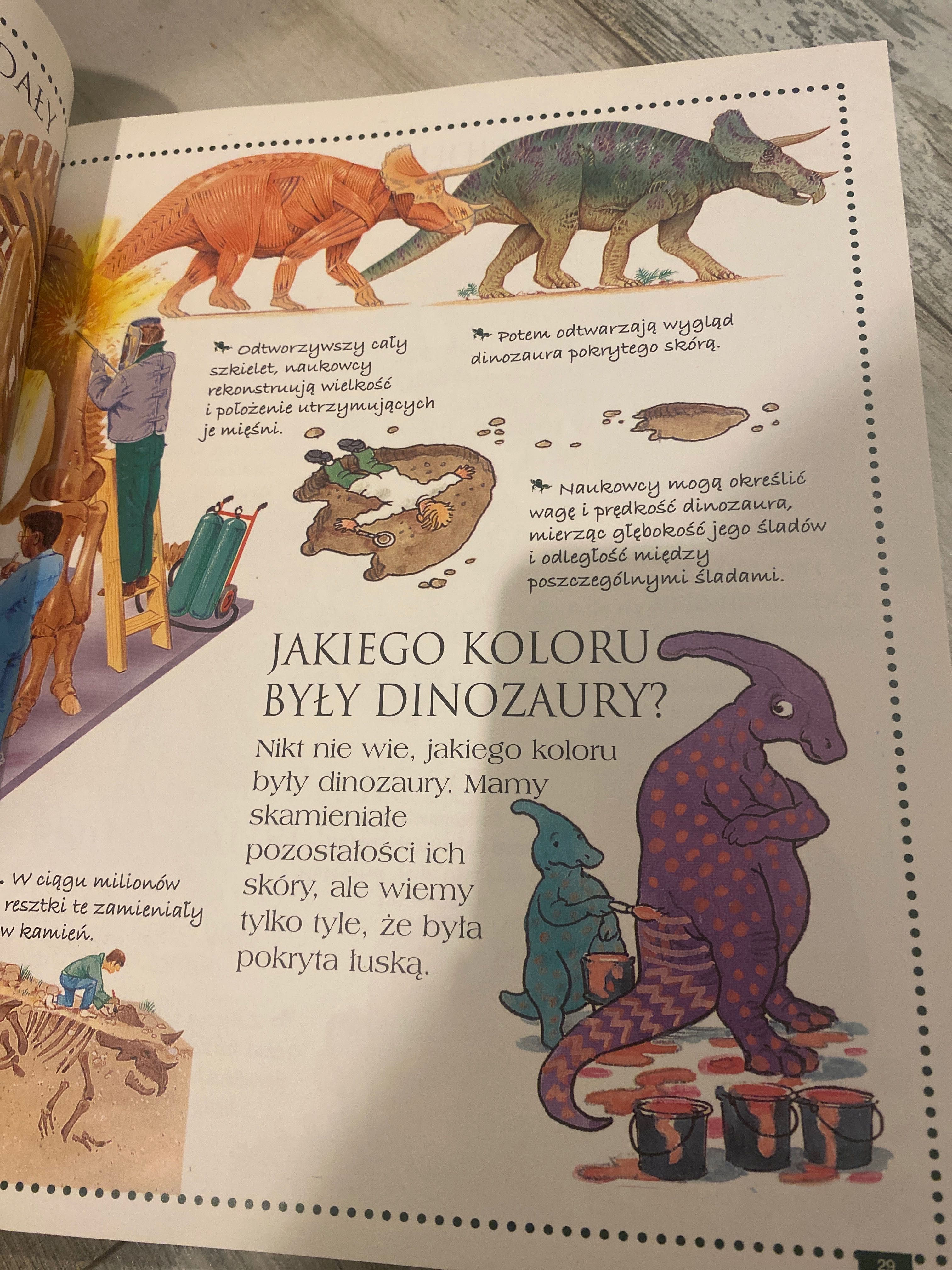 Sprzedam piękną encyklopedię zwierząt pytania i odpowiedzi