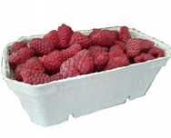 POJEMNIKI na maliny borówki 250g 1080 szt