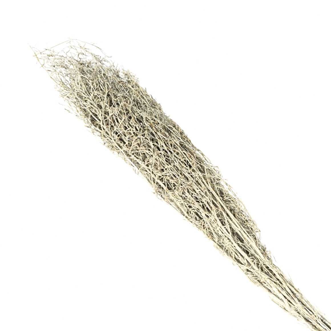 Zestaw dwóch sztuk suszonej trawy chili białej 85-95cm Ozdoba Dekoracj