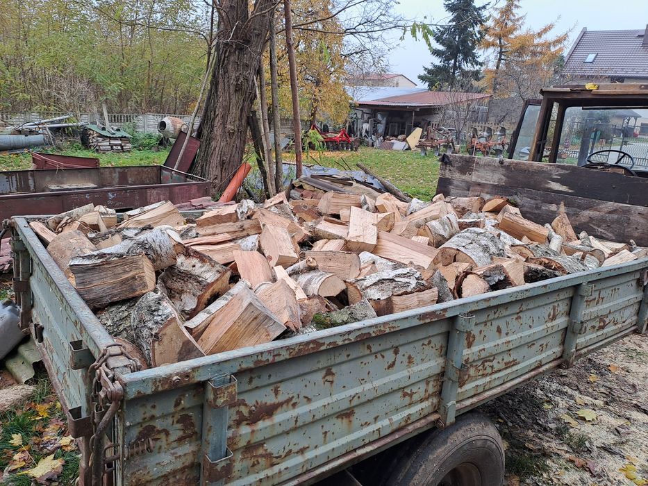 Sprzedam drzewo opalowe brzoza