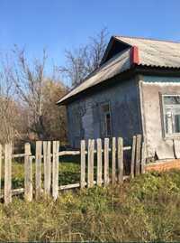 Продається будинок в с.Дмитрівка Вишгородського району