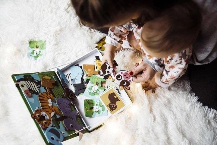 Układanka Magnetyczna Magnetibook Zwierzęta Dla Dzieci, 3 Lata+, Janod