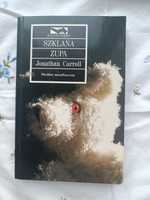 Szklana zupa, Jonathan Carroll