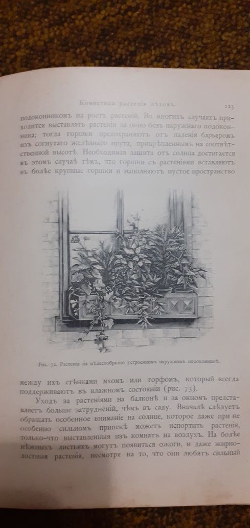 Антикварная книга по комнатному садоводцтву 1904 года