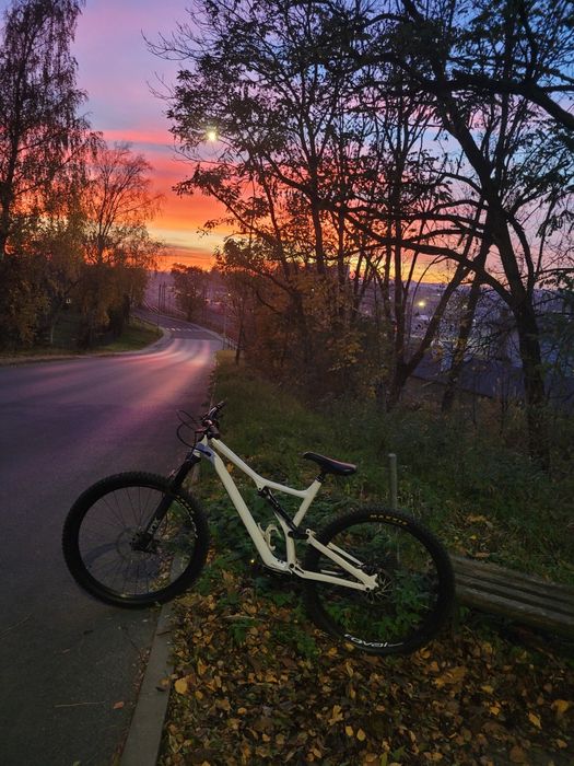 Specialized stumpjumper