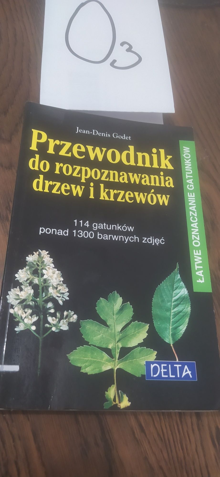 Przewodnik do rozpoznywania drzew i krzewów Jean-Denis Godet