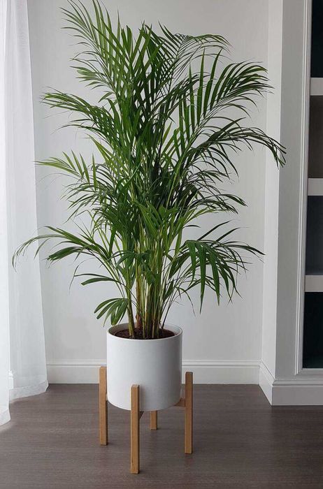 Stojak pod doniczkę Kwietnik drewniany dąb natural 25/h30