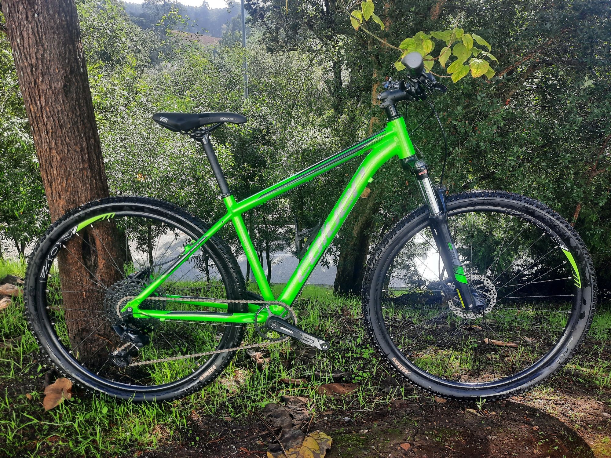 Btt 29 nova 12x1v oportunidadee