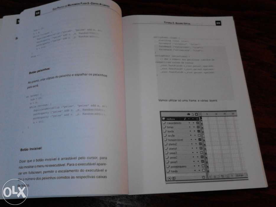 Programação Web - macromedia Flash 5-XML-animaçoes 3D-Sites