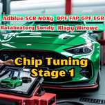 Chip Tuning Stage 1  Wyłączanie usuwanie błędów naprawa SCR DPF Adblue