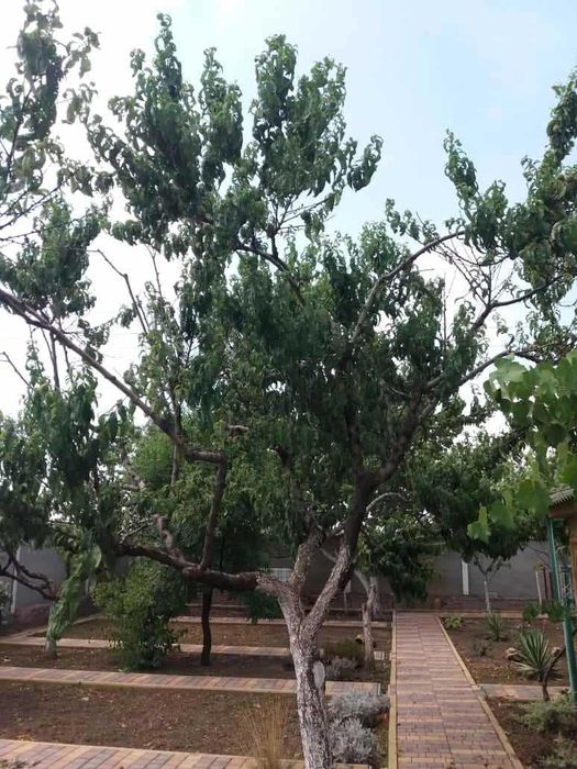 Продам дом в Вапнярке. Дача.