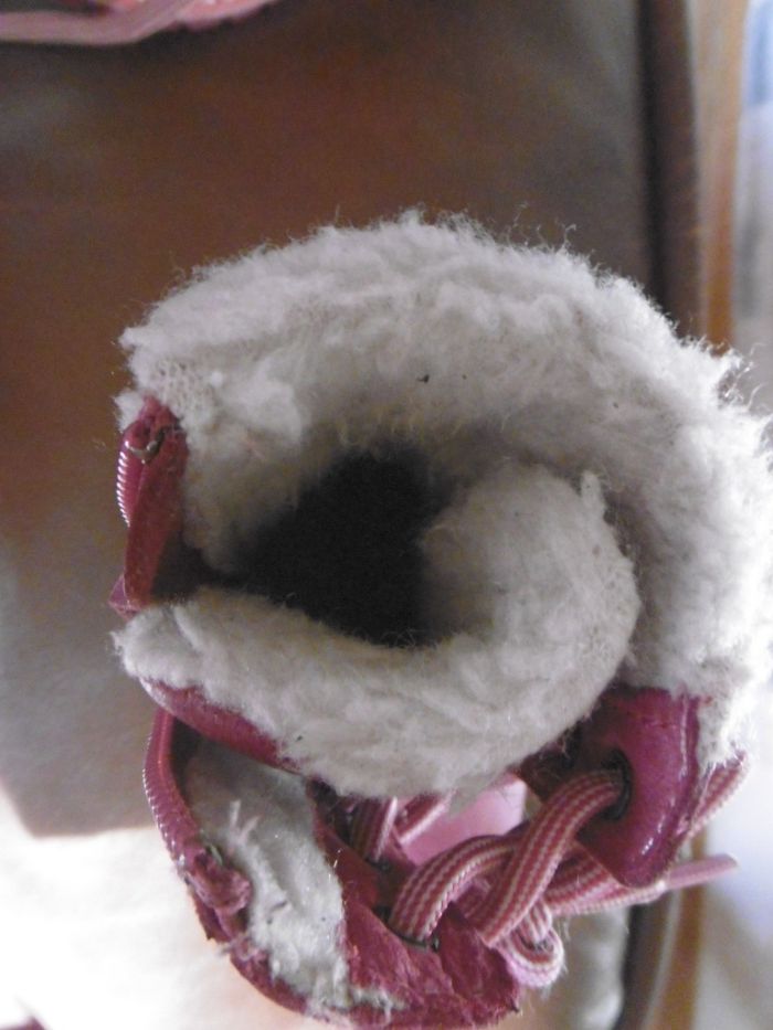 Kozaki Lasocki 21