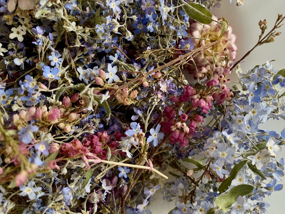 Незабудки сухоцветы сухоквіти для епоксидної смоли