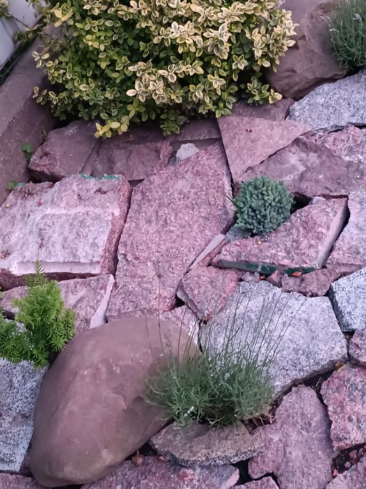 Камінь(граніт) рокарій клумба