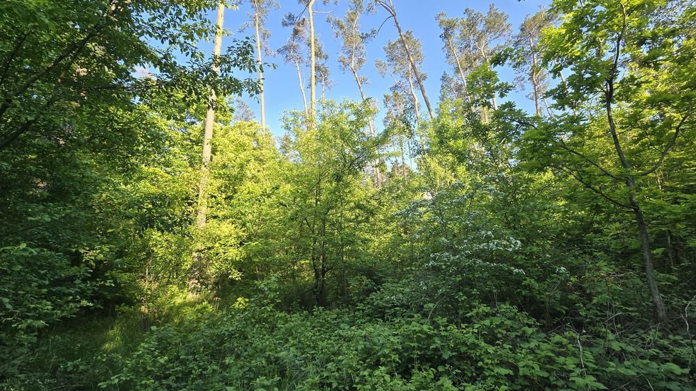 Продаж земельної ділянки 10 сот. р-н Паперова фабрика. (26158758)