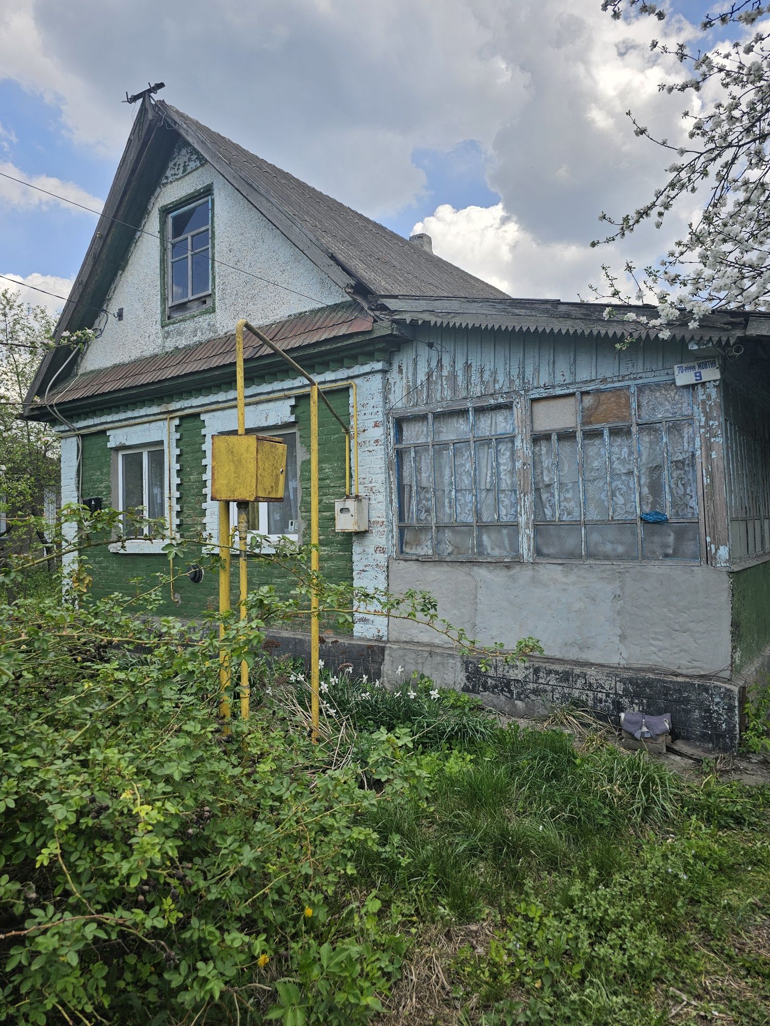 Продам цегляний будинок +літня кухня,господарські будівлі,  11сот