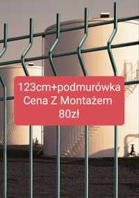 Ogrodzenie Panelowe 3d Panel 123cm+podmurówka