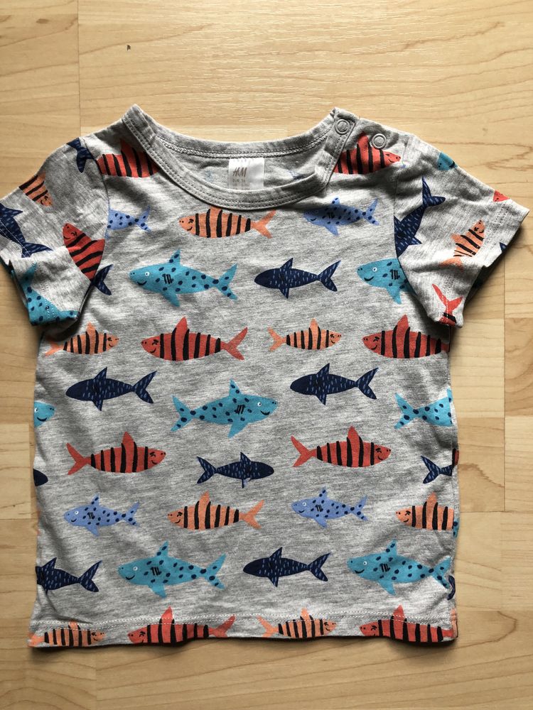 Koszulka t-shirt 74 cm