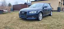 Audi A3 audi a3 klima felgi 17 super stan xenon czarna podsufitka zero rdzy