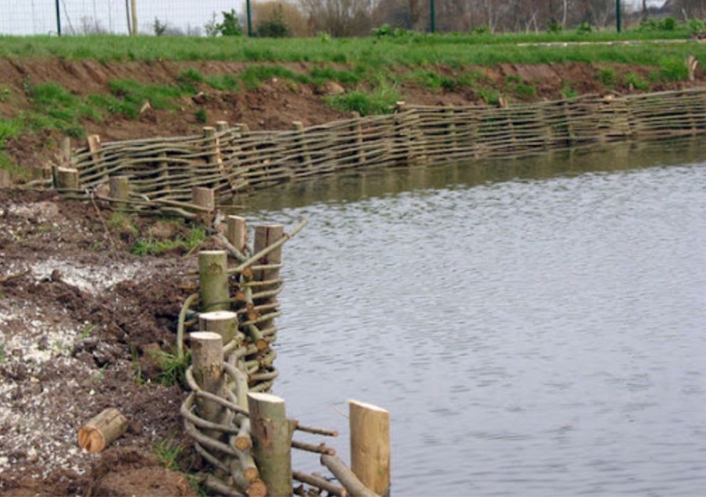 Faszynowanie Przygotowywanie Działki Pod Trawnik Kopanie Stawów Rowów.