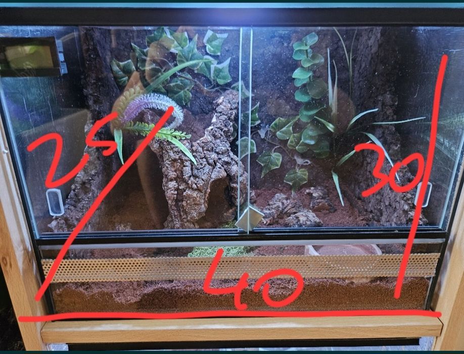 Terrarium 40x25x25