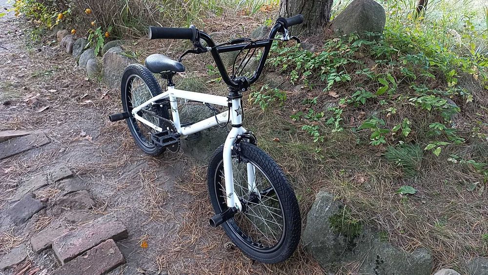 Rower Młodzieżowy Bmx Fishbone P1000 do Skakania Rotor 360 4 Pegi 20