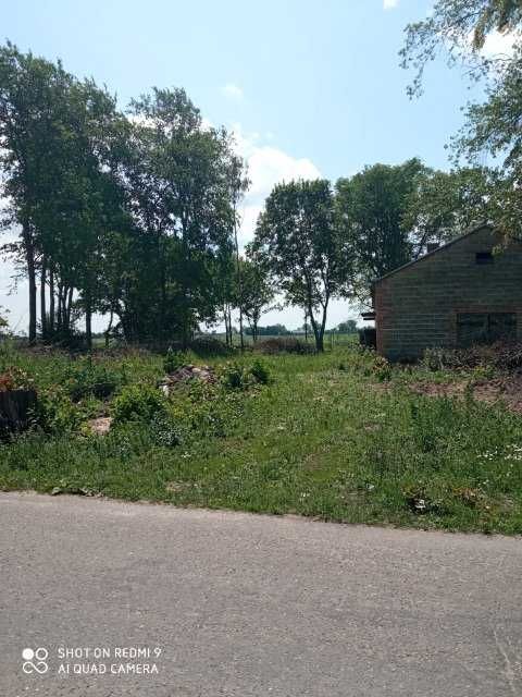 sprzedam działkę powierzchnia 5 000 m2 Zieleniew k. Kutno