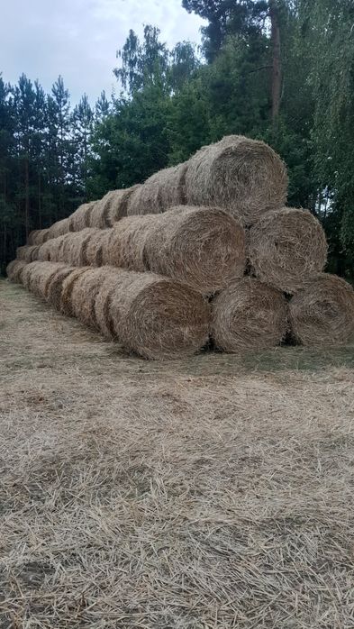 Sprzedam słomę balot 120