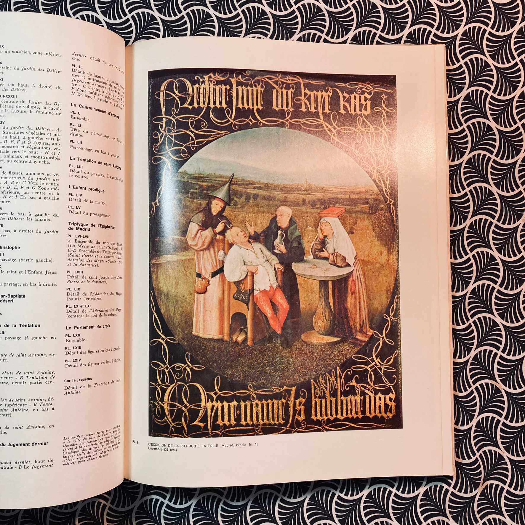 Tout L'Oeuvre Peint de Jérôme Bosch