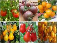 Tomates cherry - 6 variedades - sementes
