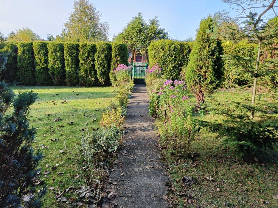 działka ROD Wypalanki