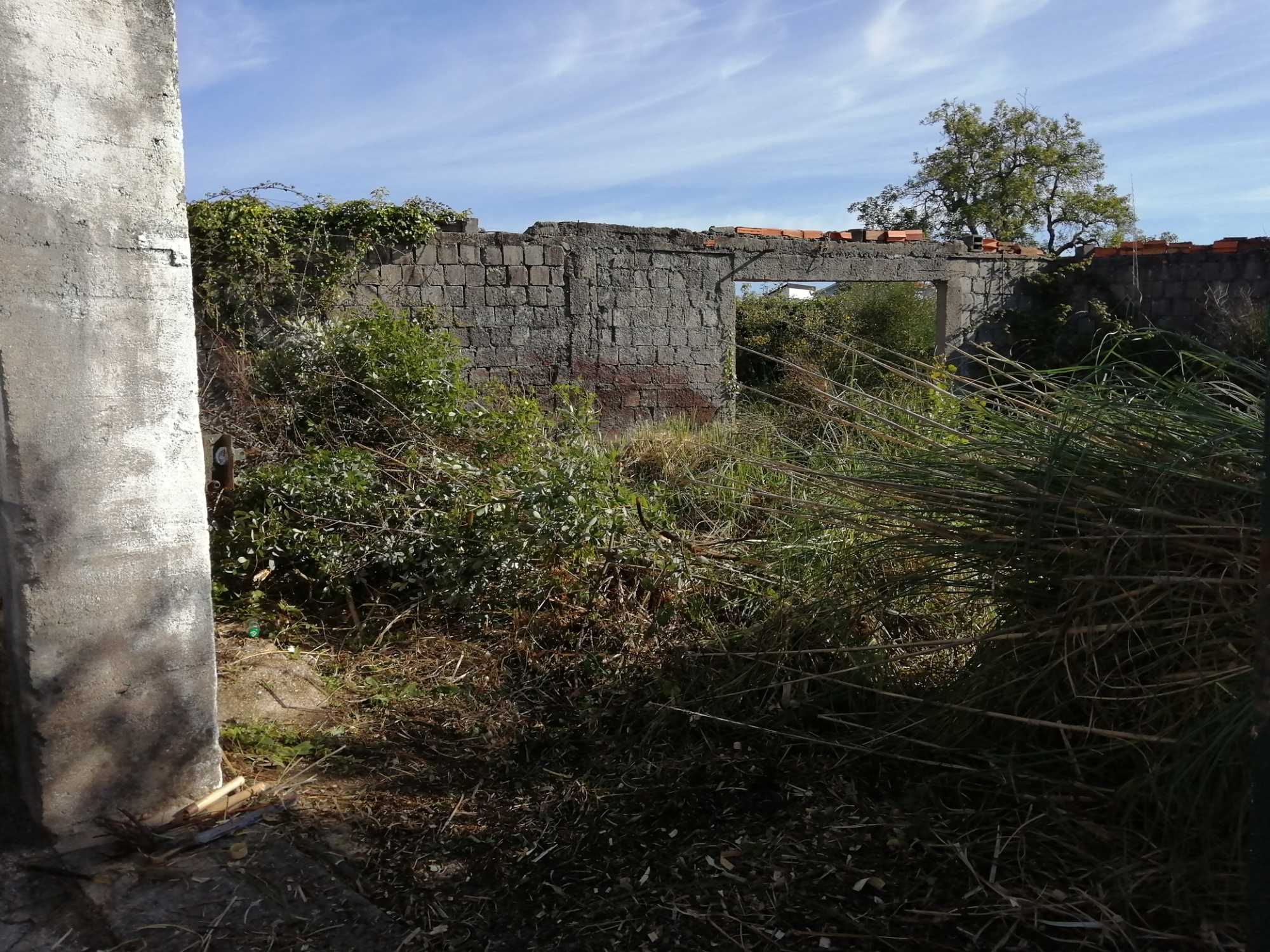 Faço todo tipo limpezas entulho terrenos jardins lixo sucata ect: